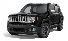 renegade
